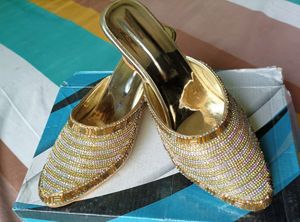 Heavy Golden Embroidered Jutti