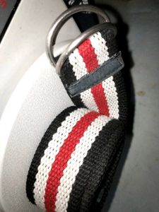 Striped D-Ring Belt