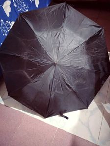 Black Umbrella