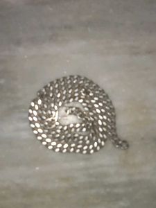 Silver Chain Necklace