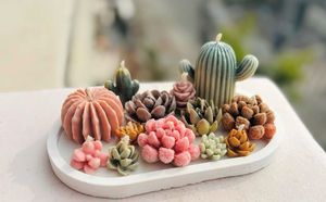 Cactus &amp; Succulent Candles
