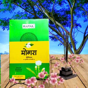 Mogra Agarbatti 12 Packs Inside Box