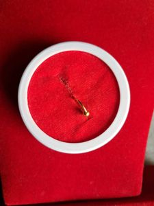 beautiful new nosering gold