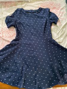 Flare Navy Blue Casual Dress