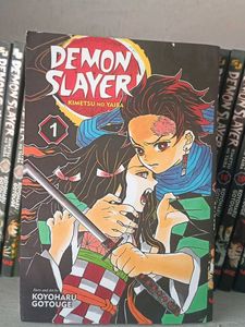 Demon Slayer: Kimetsu no Yaiba, Vol. 1