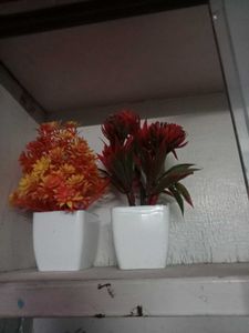Mini Artificial Decoration Plant Combo Of 8