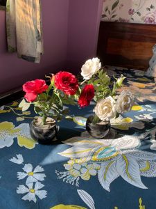 Set of 2 artificial rose plants - Red and White