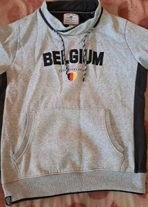 Sweater/Sweatshirt For Men