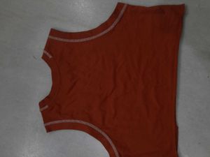 Roadster Crop Tshirt
