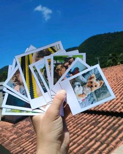 Unique Polaroid Photo Collection