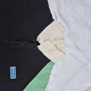 Casual Wear T Shirt Polo