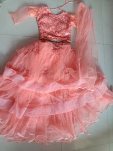Peach Embellished Lehenga Skirt