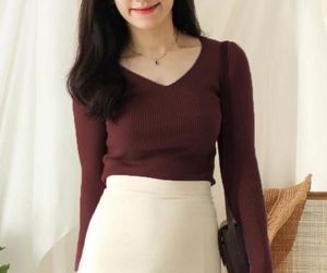 Brown Ribbed V Neck Top