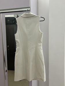 Zara New Dress