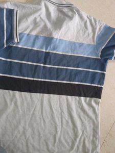 Striped Short Sleeve Polo Shirt