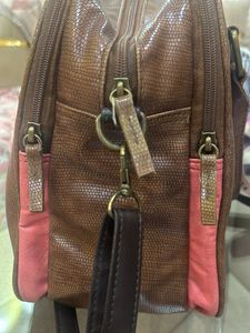 Baggit Handbag