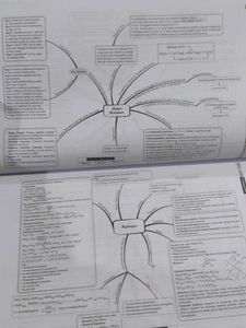 NEET (UG) Mock Test Papers