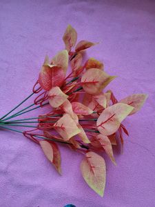 Leaf Set