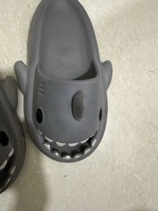 Grey Shark Slides