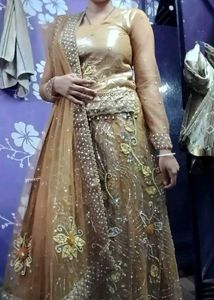Gorgeous Lehenga Choli