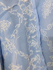 Georgette Chikankari Alone Kurti