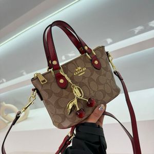 Coach Mini Handbag- Top Notch Quality