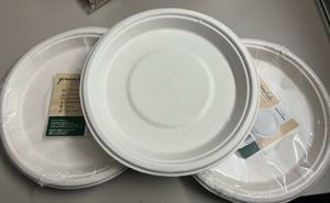 Biodegradable Disposable Plates Combo