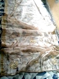Beautiful Organza Saree