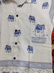 Ethnic women shirt