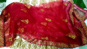 Elegant Gold Embroidered Lehenga Set