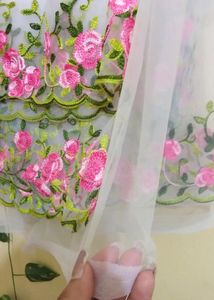 Embroidered Saree