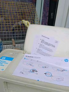 Hp Deskjet1112 Printer