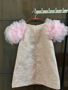 Pink Tulle Sleeve Dress
