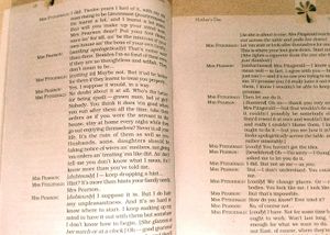 Snapshot And Hornbill English NCERT Book Class 11