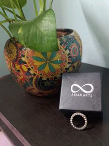Delicate Asian Arts Eternity Band Ring