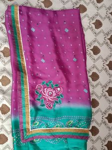 Garden Silk Sarees With Fall Done No Blouse Pic