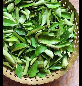 Curry Leaves