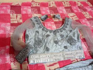 Embroidered Lehenga Choli