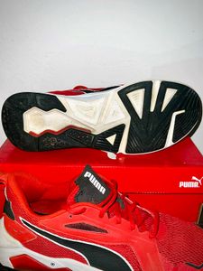 Puma Softfoam Plus