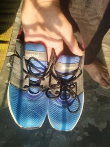 Blue Spartan Sport Shoes
