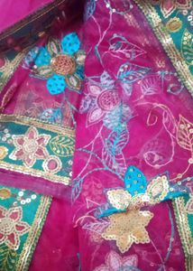 Beautiful Saree