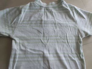 Green And White Combination Fitted Top