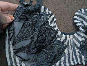 Striped Lace Bra 34E