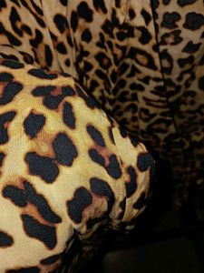 Leopard Print Cardigan