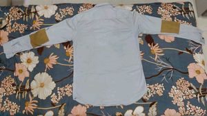 Stylish Light Blue Shirt