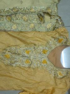 Elegant Ethnic Salwar Suit