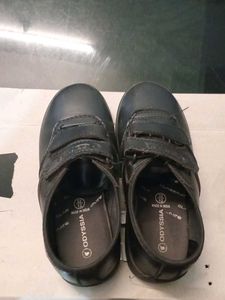 Boys School Shoe