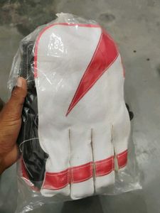 Cricket Keeping Gloves