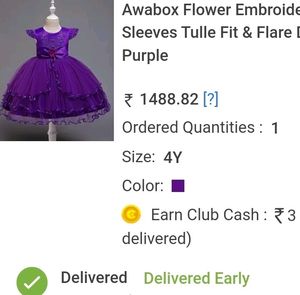 First Cry Beautiful And Flare Frock