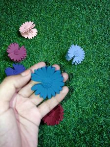 Korean Flower Claw Clips 🌻